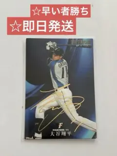 大谷翔平 金箔サイン カード 2016年 プロ野球チップス Amazon.co.jp: カルビープロ野球チップス大谷翔平 金箔サインカード