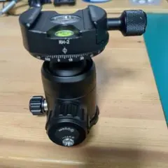 Item thumbnail for item 5e6966a5-185f-41a4-9ca9-19a93b820c42