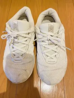 Item thumbnail for item 4649f741-3b47-487e-9844-850435e62909