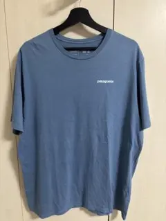 パタゴニア P-6 Logo Organic T-Shirt STY38535