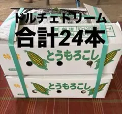 茨城県産 新鮮 朝採り とうもろこし 12本×2箱 120サイズ - メルカリ