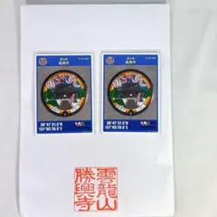 マンホールカード 富山県 高岡市 勝興寺 正門 2枚セット