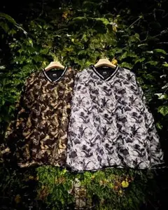 Item thumbnail for item 07596d07-6b5b-4528-a526-264fb6bf7e2c