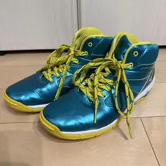 Item thumbnail for item f2044c0d-53f2-446c-8190-1697f1f11e53