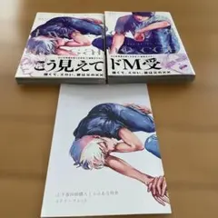 『Two sides of the same coin』 上下 リーフレット付き