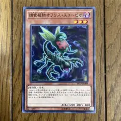 遊戯王　スコーピオン　⑫