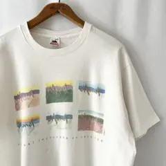90sクロード モネ 睡蓮 アート tシャツ vintage hanes usa - メルカリ
