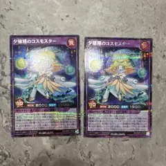 夕極精コスモスター　シク