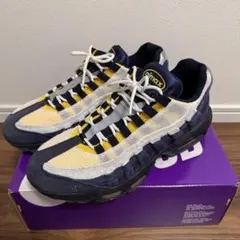 【希少サイズ】Eric Koston × Nike SB Air Max 95