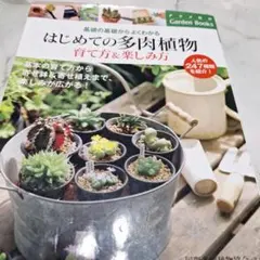 Item thumbnail for item c8f994a8-90a8-41c7-8d3d-cd9ad3cbdd15