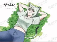 ヤニねこ A賞 カンサイ ブランケット 描き下ろし絵柄 くじラック