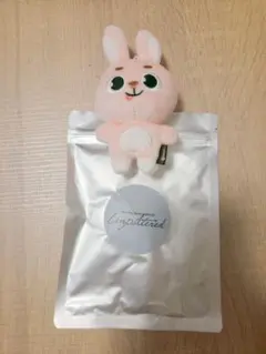 DAY6 ウォンピルUnpiltered ぬいぐるみ キーリング PIL - メルカリ