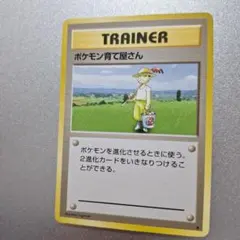 ポケモン育て屋さん 旧裏面 ポケモンカード