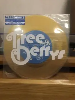 Treeberrys 7インチレコード パンク　パワーポップ