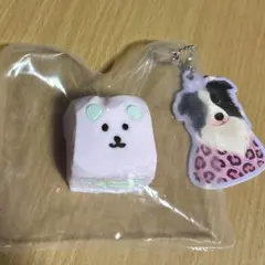 Item thumbnail for item 79bf133e-fa5f-43c9-a836-446a29799e7d