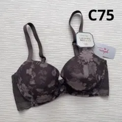 トリンプ　ファッションシェイプ　529 ブラジャー　　　C75のサムネイル