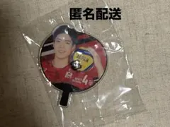 バレーボール キャラクターグッズ