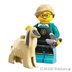 LEGOミニフィギュア シリーズ25
