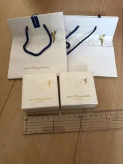 東京ディズニー　アクセサリー　ケース　箱のみ