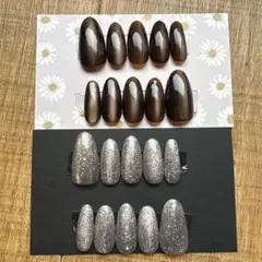 119 ブラウンマグネット＆ベージュ系マグネットネイルチップセット