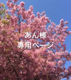 ☆専用ページ☆フェイラーハンカチ他