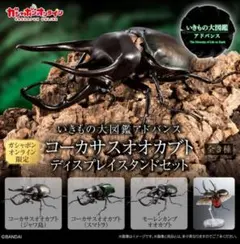 【オンライン版】いきもの大図鑑アドバンス コーカサスオオカブト コンプセット