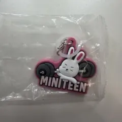 ミニティーン　MINITEEN めじるしアクセサリー　エスクプス