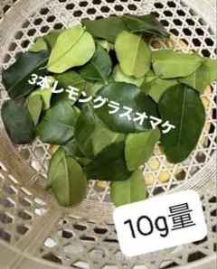 2025年最新】こぶみかんの葉の人気アイテム - メルカリ