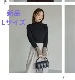 mysa closet テレコ配色袖ハイネックプルオーバー