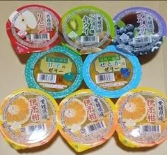 えひめ中央農業協同組合ゼリー お買い得ゼリー 8個 - メルカリ