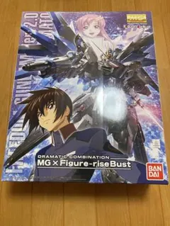 フリーダムガンダム2.0 x Figure-rise Bustのサムネイル