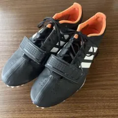 Item thumbnail for item 5412d7f5-13ff-4164-8120-c1841c73a015