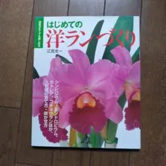 Item thumbnail for item ef942cbf-b017-4db2-b162-2ff01a1624de