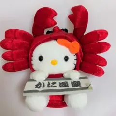 ハローキティ ご当地ぬいぐるみ　中国　開封済　タグ付き 2026年最新】中国キティちゃんの人気アイテム - メルカリ