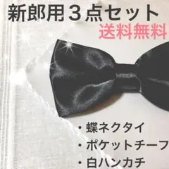 新郎　小物　蝶ネクタイ　セット　ポケットチーフ　ハンカチ　まもなく出品終了