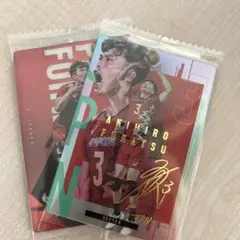 バレーボール男子日本代表深津選手のカード