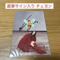 e*u様 Strategy 直筆サイン入りポストカード チェヨン