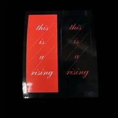 RIZE 雷図 this is a rising ステッカー販促グッズ 送料無料