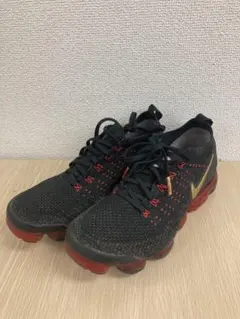 【レア】NIKE AIR VAPORMAX 2.0 FLYKNIT ナイキ