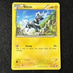 N40 シママ Blitzle 1枚 旧裏 英語版