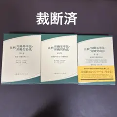 裁断済 辰巳 プロが作った論文合格問題集 答案集 民法 司法試験 予備