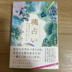 Item thumbnail for item 0409270f-a5fe-46da-9a0c-295a302108d1