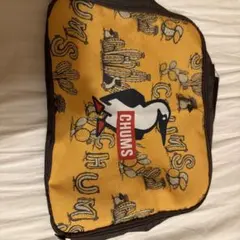 CHUMS チャムス ポーチ サボテン柄