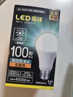 LED電球 100形相当 昼白色 広配光 BL-DA60-XW