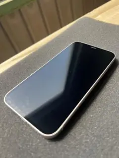 Item thumbnail for item 0bdab473-b7e5-4791-bc09-fba8c8a92040