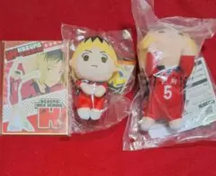 ハイキュー!! 孤爪研磨 まとめ売り