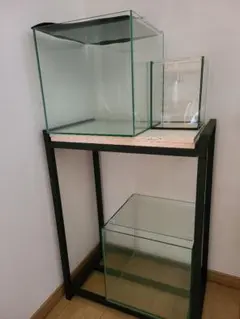 一台限定　300ｘ300ｘ400オーバーフロー水槽セット　フランジ加工　未使用品 Amazon.co.jp: 1セット限定 クリア＆ホワイト900レギュラー