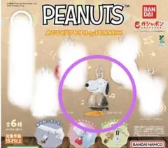 PEANUTS めじるしアクセサリー FUNNY ver. スヌーピーD