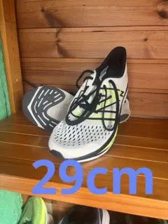 Item thumbnail for item 0b5a8954-9f89-404c-a7d9-fb8ee99a2d70