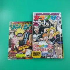 2026年最新】bleach カラブリの人気アイテム - メルカリ